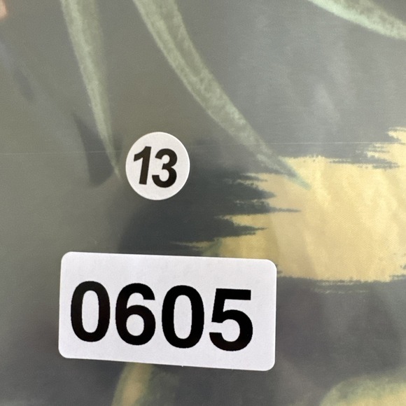 Polo Ralph Lauren Swim Trunks Mens L Green Hawaiian Luau Classic Traveler Shorts - Picture 11 of 11